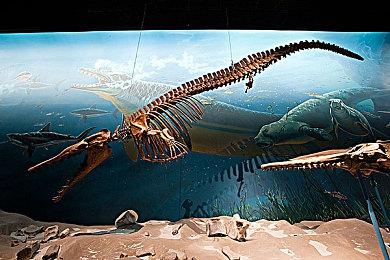 首席设计师透露 B社《星空》至少已经开发了6年